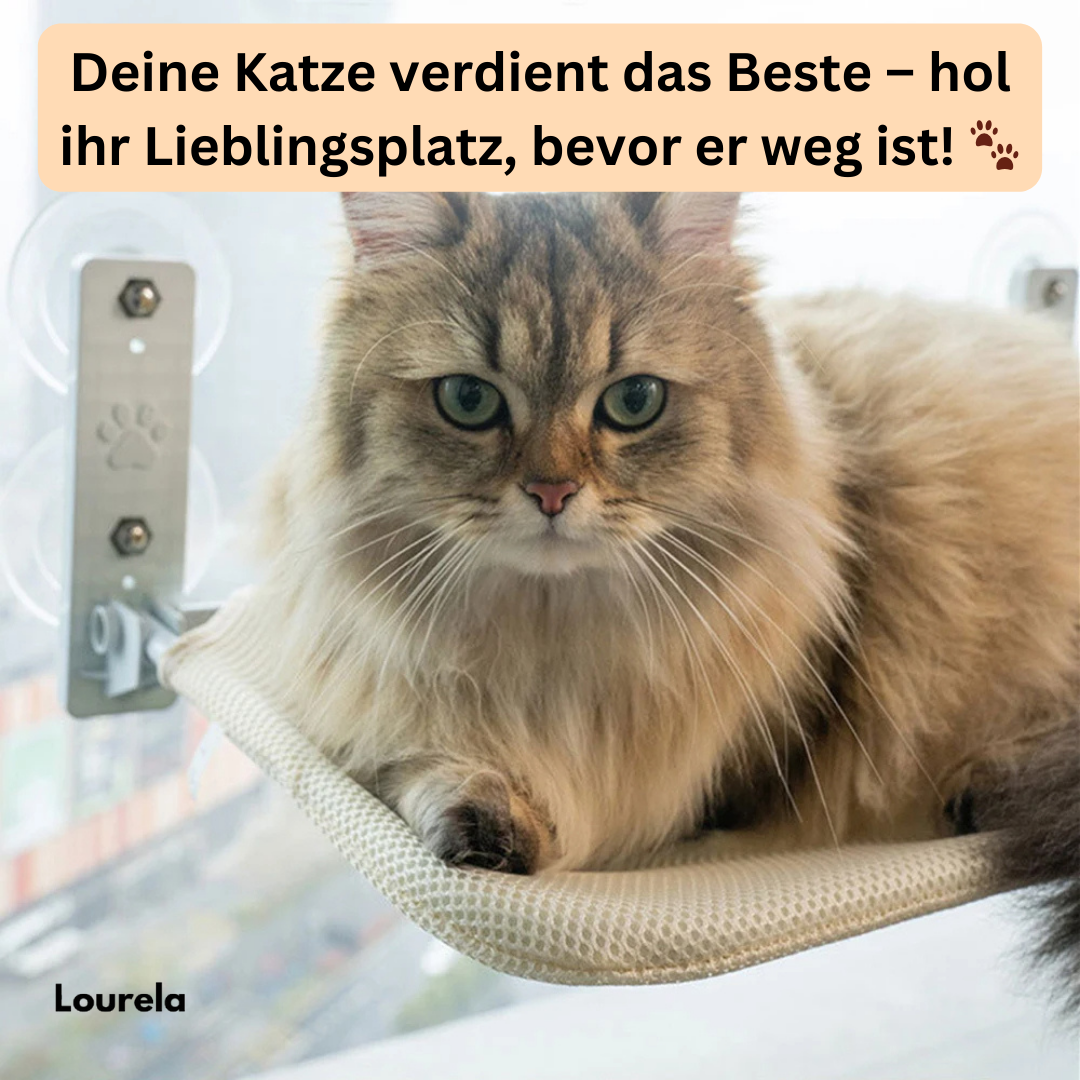 Feline CatView - Die perfekte Wohlfühloase für deine Katze!